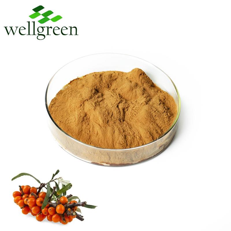 Wellgreen Supply Sea buckthorn powder