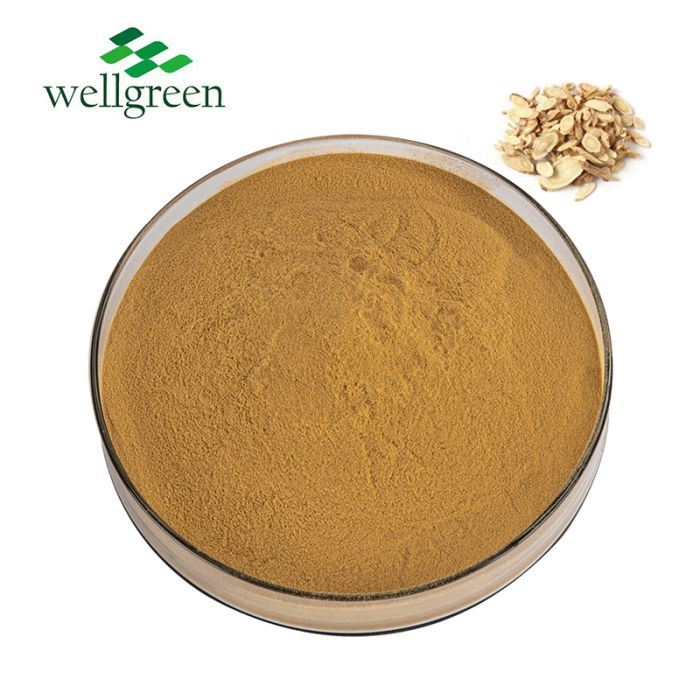 Astragalus রুট নির্যাস