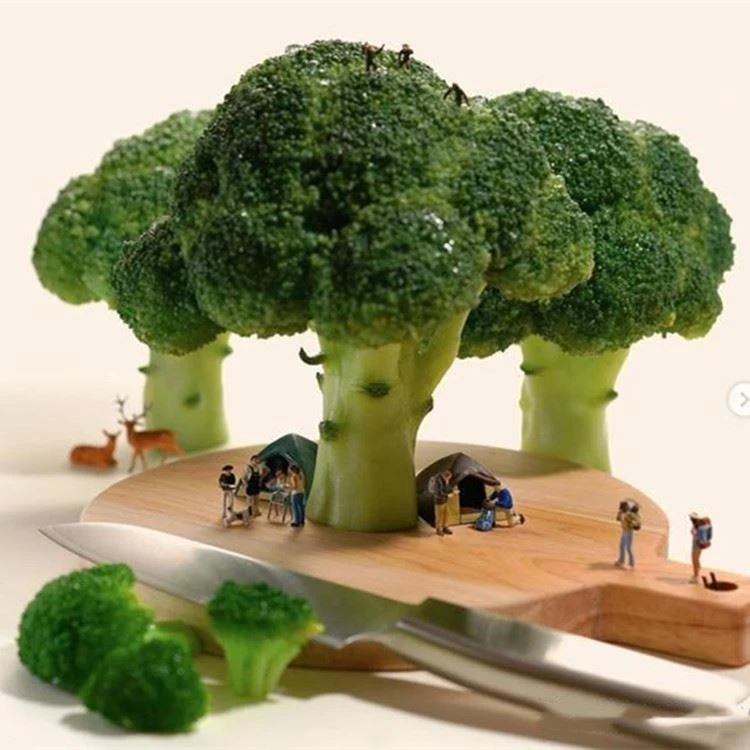 পাকস্থলীর ব্রোকলি কীভাবে অ্যান্টি-ক্যান্সার অণুতে রূপান্তরিত হয়?
