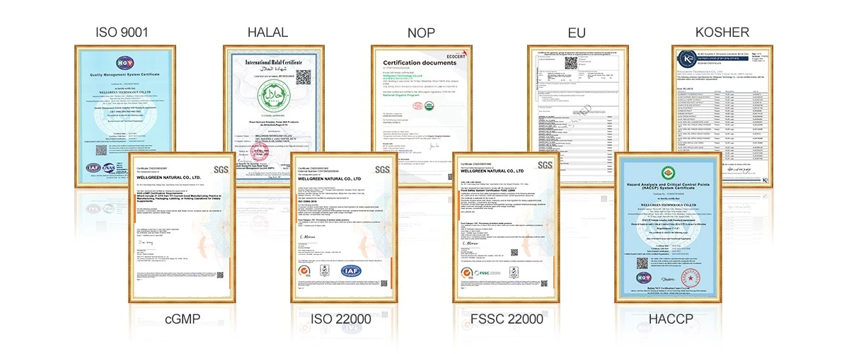 Certification Certification